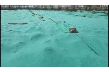 國家重點環(huán)保工程助力-抑塵布