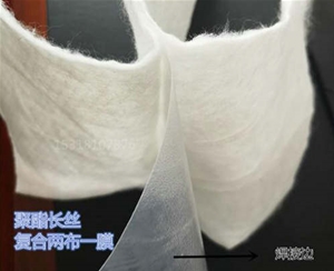 聚酯長絲復(fù)合土工膜